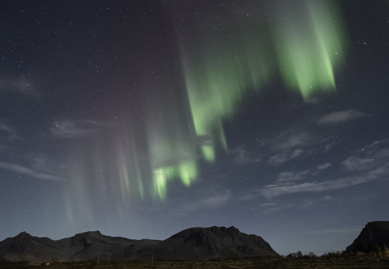Cabin in Vågan - Lyngvær Lodge 29