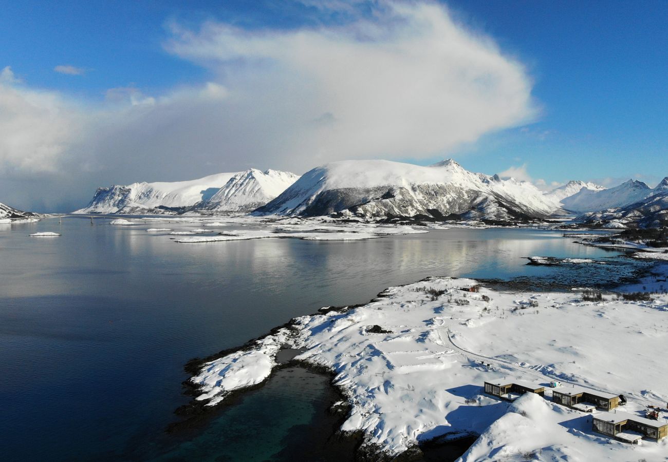 Cabin in Vågan - Lyngvær Lodge 29