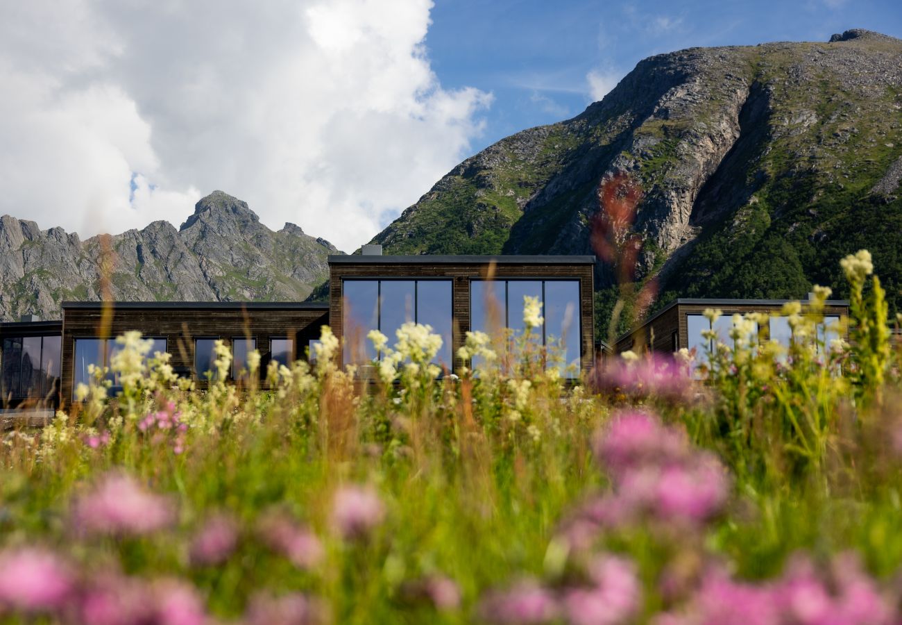 Cabin in Vågan - Lyngvær Lodge 29