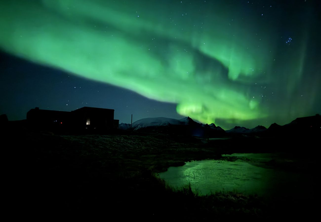 Cabin in Vågan - Lyngvær Lodge 29