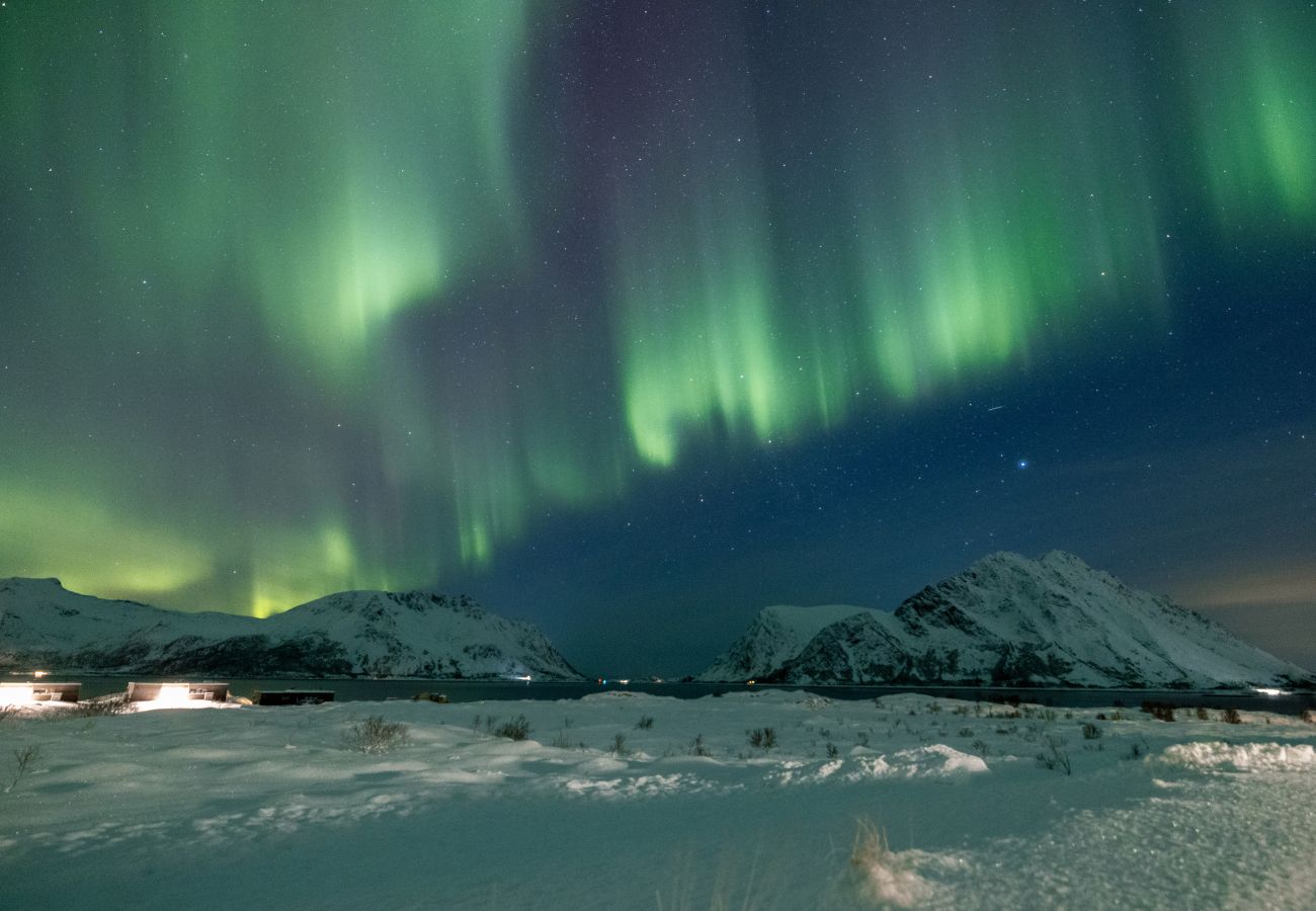 Cabin in Vågan - Lyngvær Lodge 14