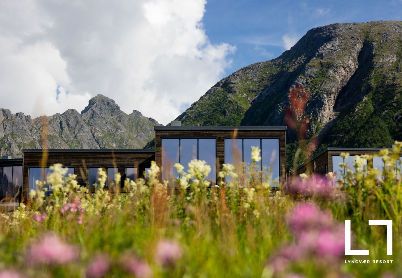 Cabin in Vågan - Lyngvær Lodge 12
