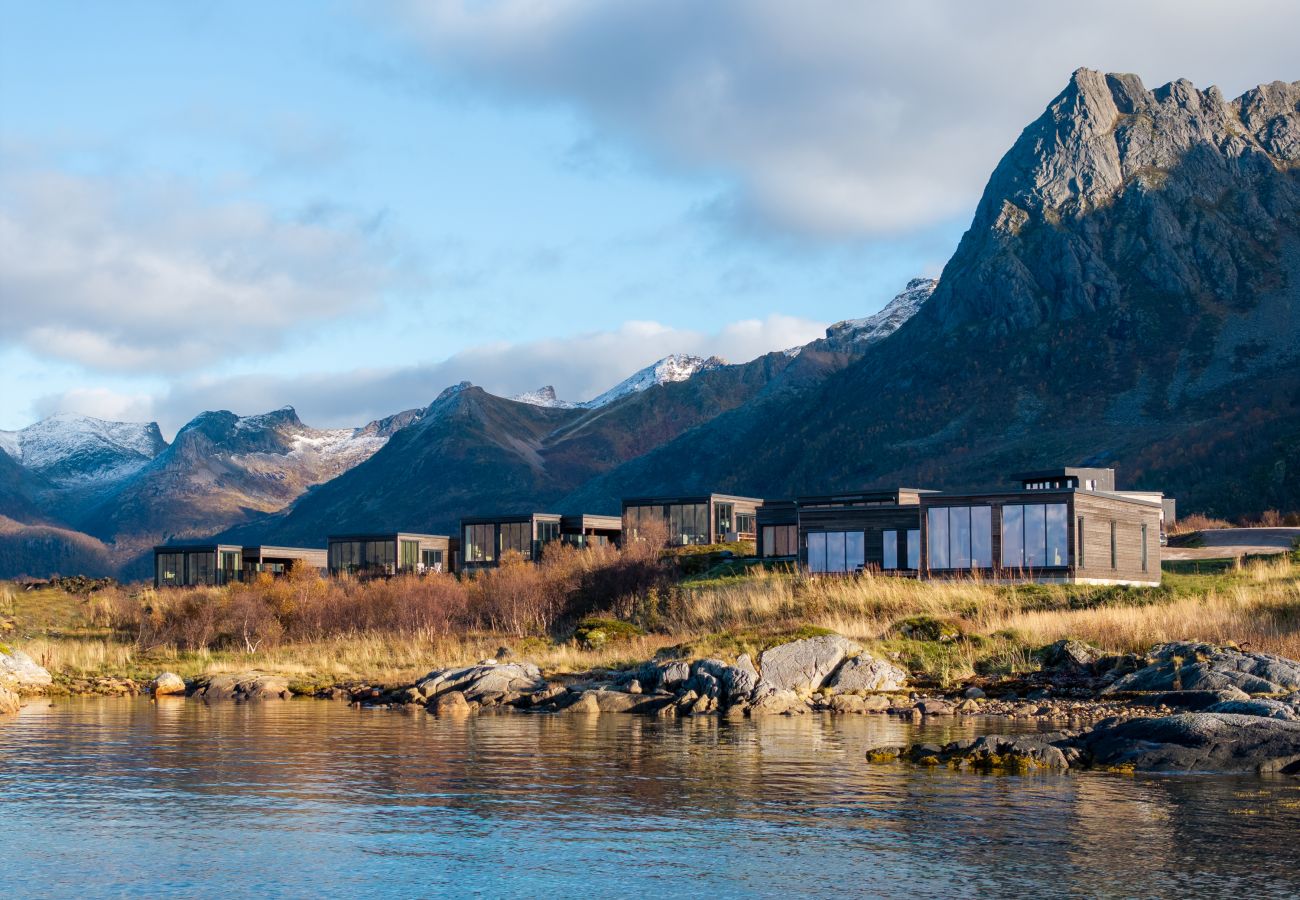 Cabin in Vågan - Lyngvær Lodge 43