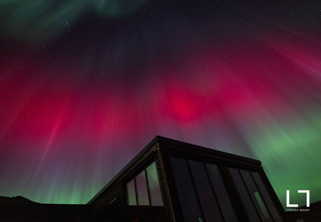 Cabin in Vågan - Lyngvær Lodge 3