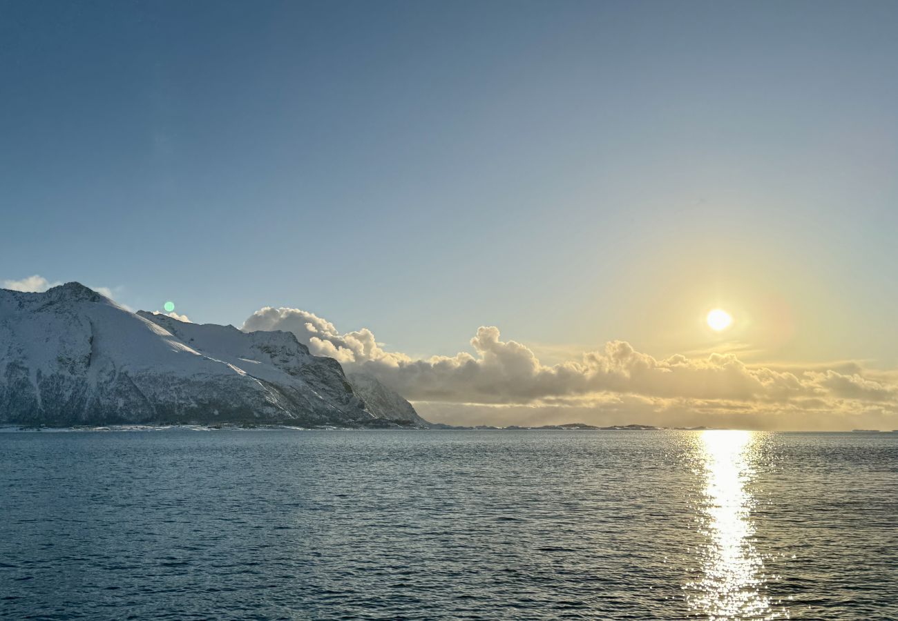 Cabin in Vågan - Lyngvær Lodge 3