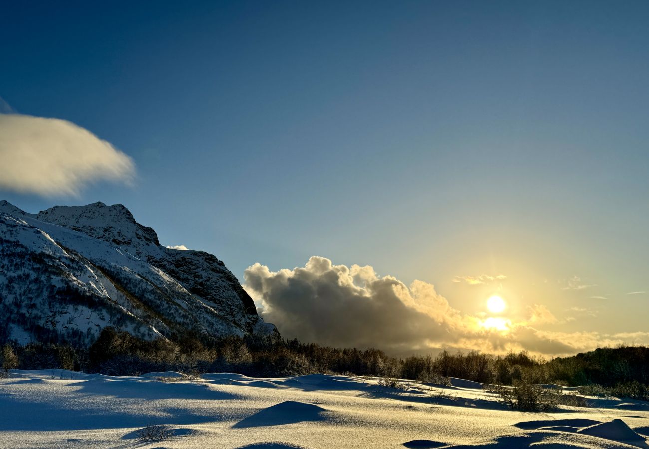 Cabin in Vågan - Lyngvær Lodge 3