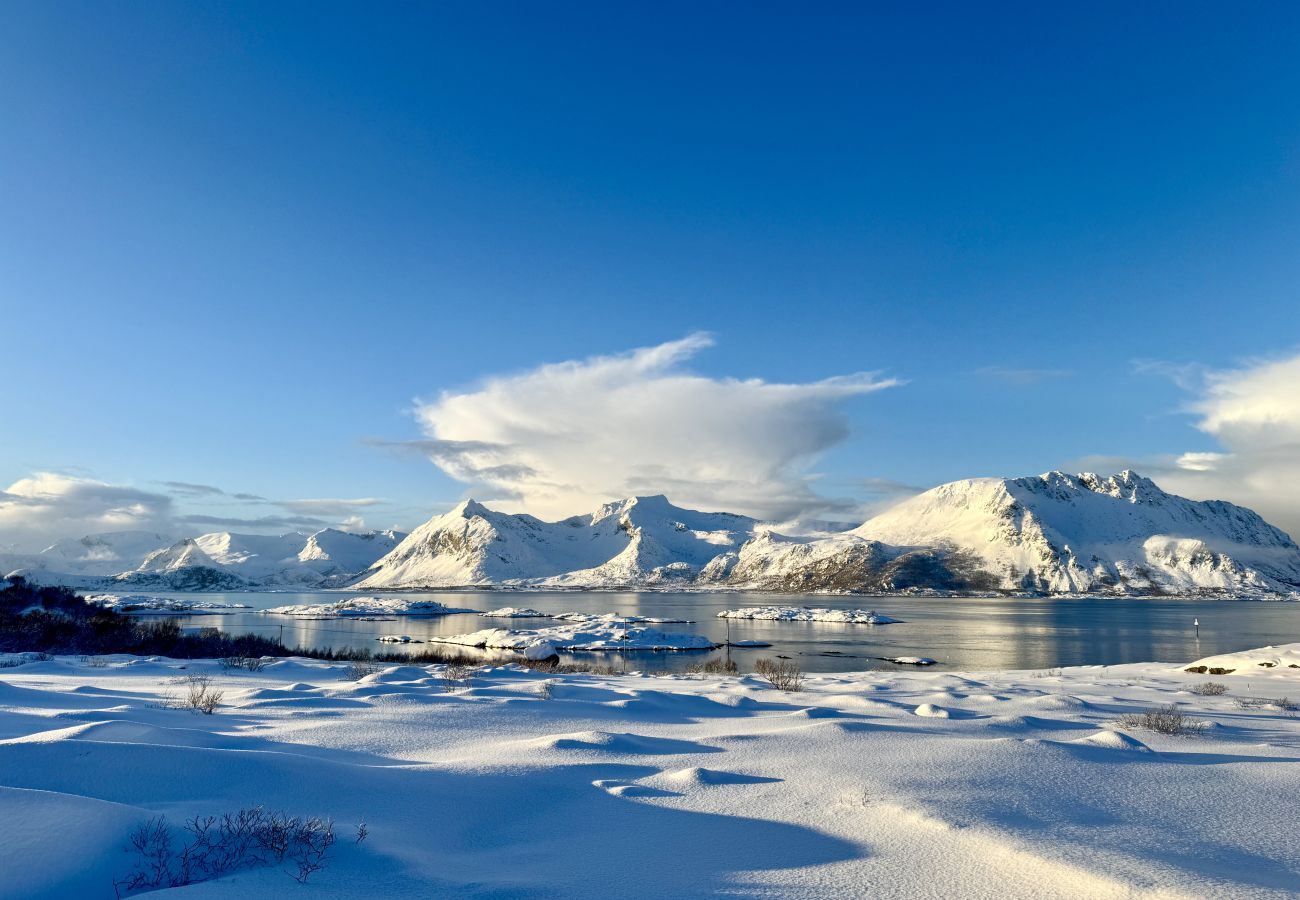 Cabin in Vågan - Lyngvær Lodge 3