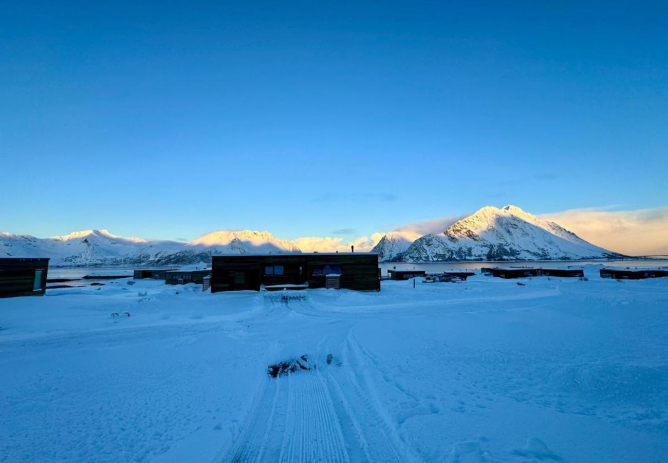 Cabin in Vågan - Lyngvær Lodge 3