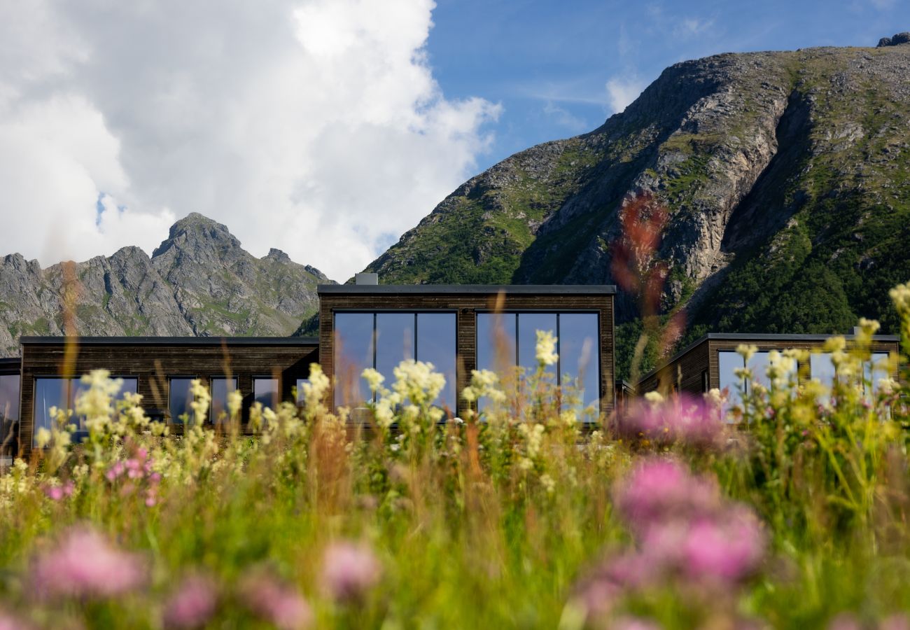 Cabin in Vågan - Lyngvær Lodge 8
