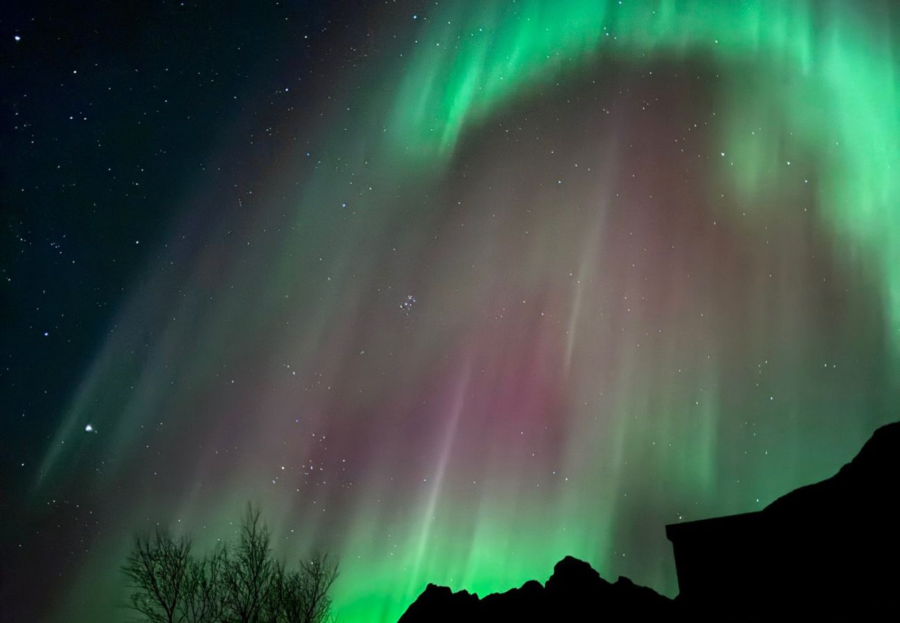 Cabin in Vågan - Lyngvær Lodge 9